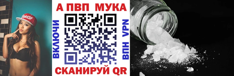 ссылка на мегу как зайти  где найти   Углич  Альфа ПВП СК 