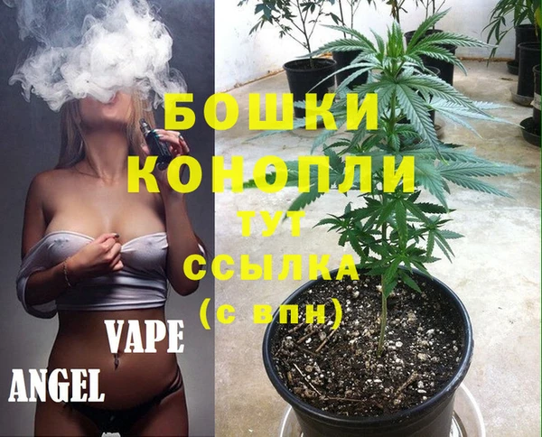 бутират Белокуриха