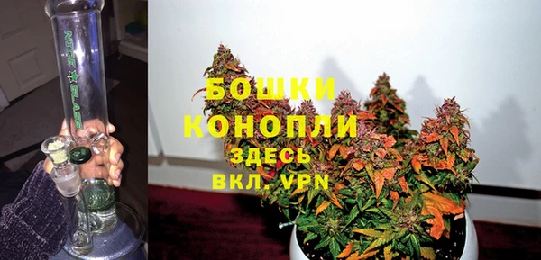 бутират Белокуриха