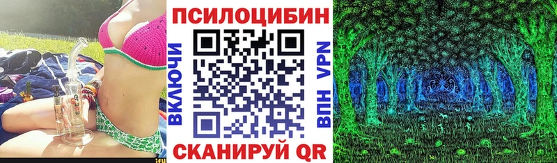 кракен зеркало  Углич  Псилоцибиновые грибы MAGIC MUSHROOMS 